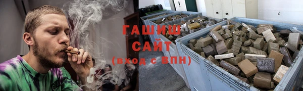 СК Ельня