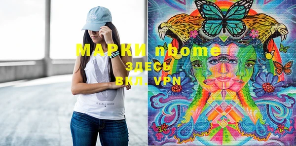 СК Ельня