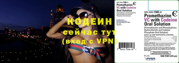СК Ельня