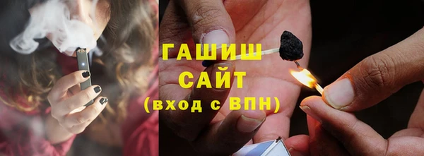 СК Ельня