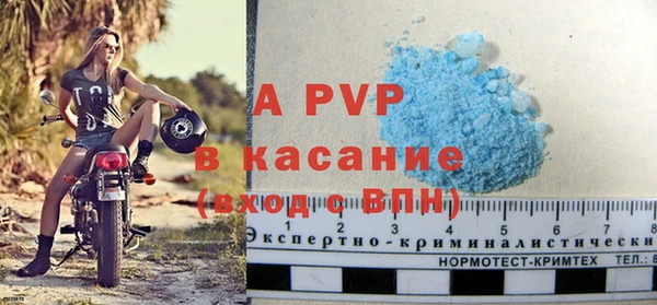 СК Ельня