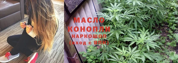 СК Ельня
