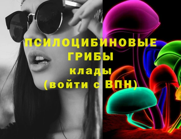 СК Ельня