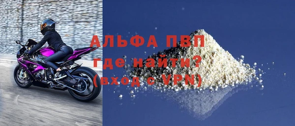 СК Ельня