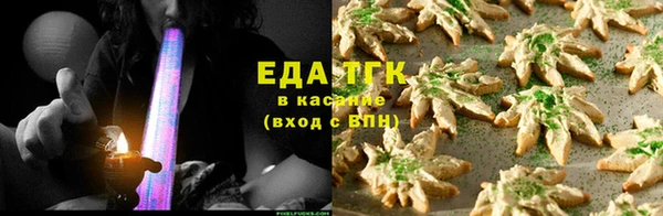 СК Ельня