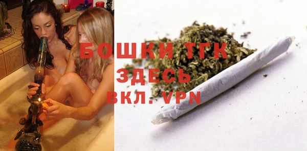 СК Ельня